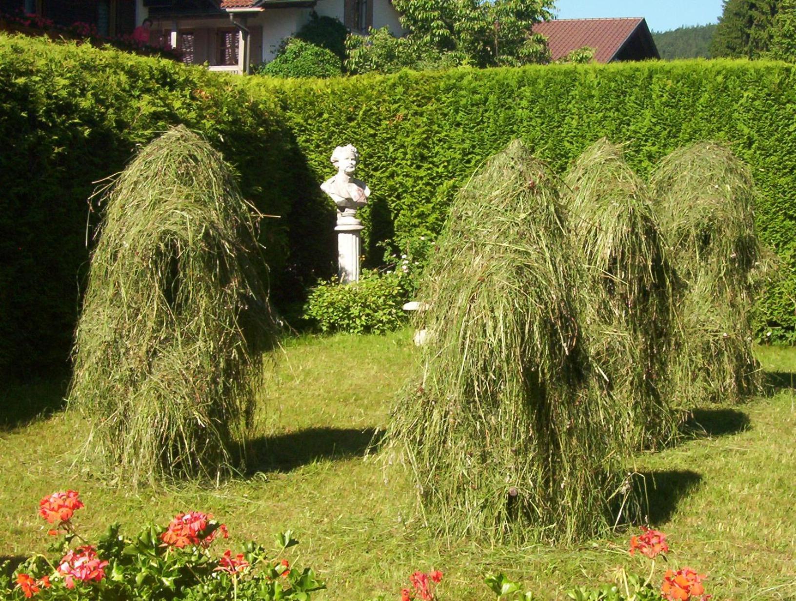 Gasthaus Am Zierwald Grainau Buitenkant foto